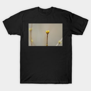 lilac buds in winter T-Shirt